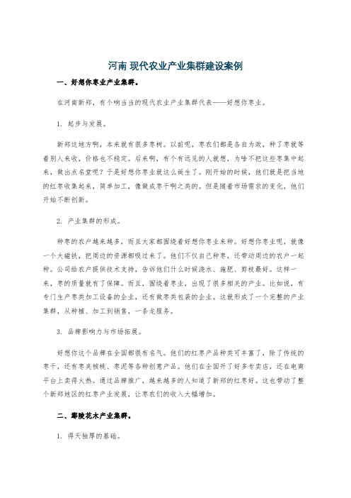 河南 现代农业产业集群建设案例