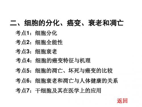 一轮复习细胞的分化、癌变、衰老和凋亡