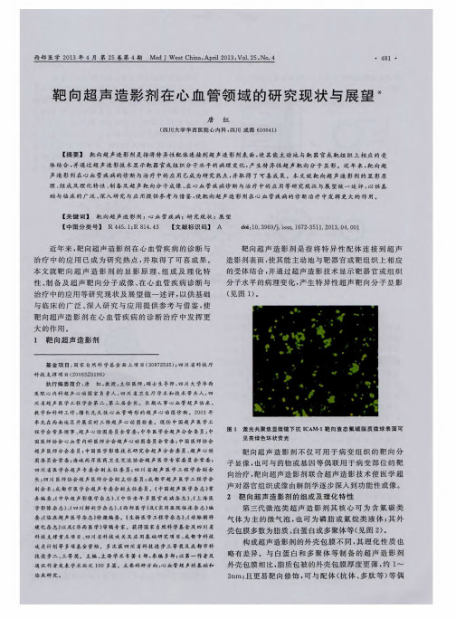 靶向超声造影剂在心血管领域的研究现状与展望