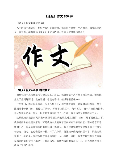 《遇见》作文800字