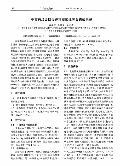 中西药结合防治仔猪顽固性黄白痢效果好
