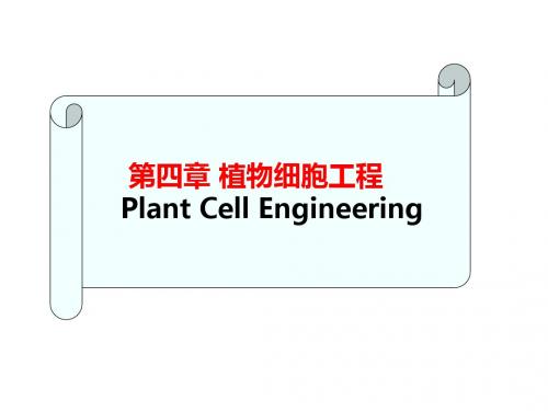 植物细胞工程(中国药科大学生物工程所有课件)