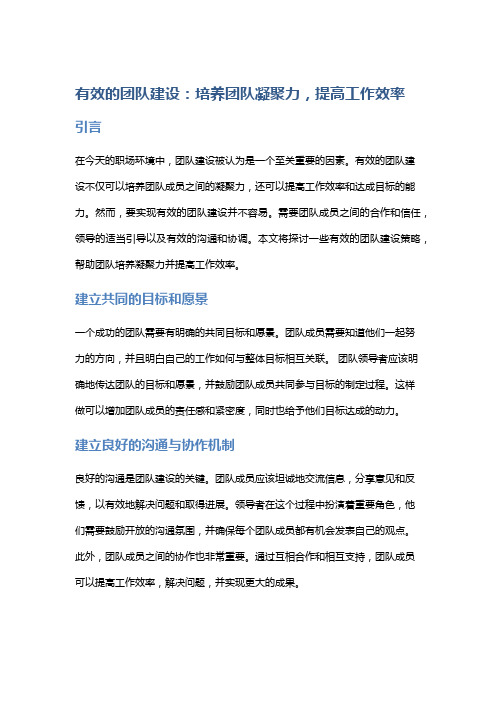 有效的团队建设：培养团队凝聚力,提高工作效率