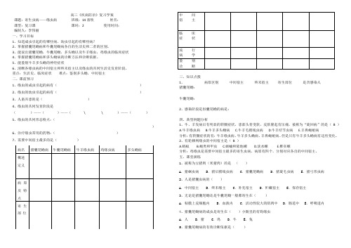 导学案绦虫