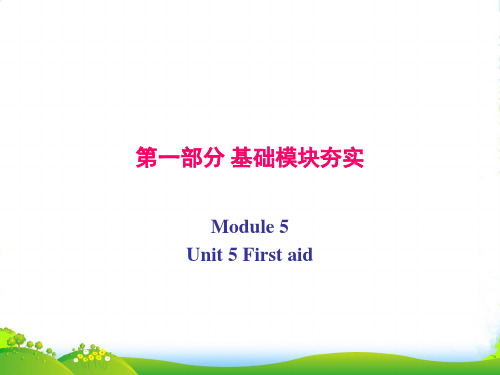 高考英语复习课：必修五Unit5Firstaid第一部分模块基础夯实(32)