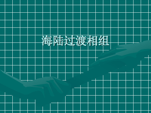 _海陆过渡相组