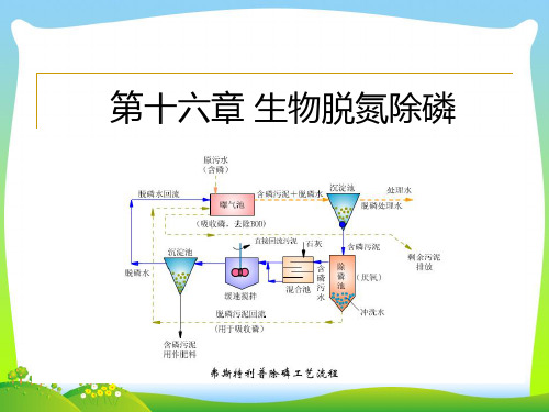 生物脱氮除磷原理及影响因素