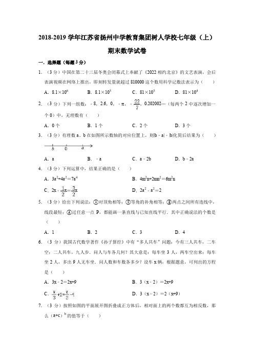 2018-2019学年江苏省扬州中学教育集团树人学校七年级(上)期末数学试卷(解析版)