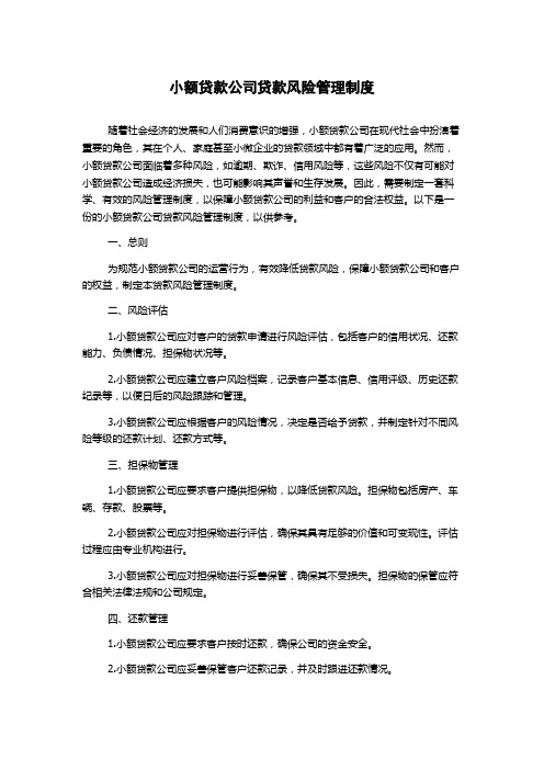 小额贷款公司贷款风险管理制度