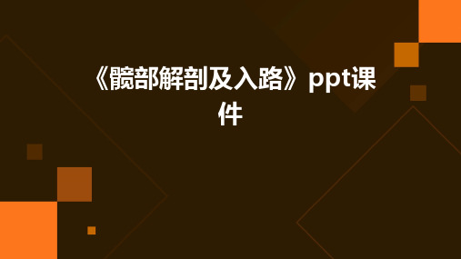 《髋部解剖及入路》课件