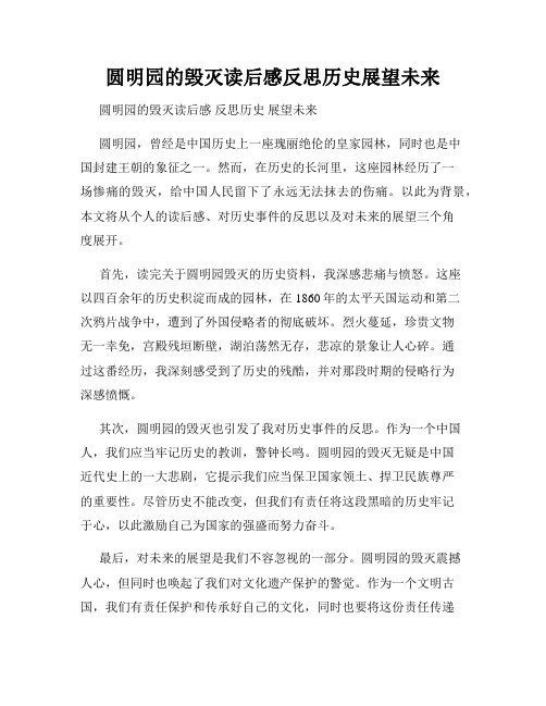 圆明园的毁灭读后感反思历史展望未来