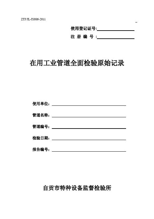 086在用工业管道全面检验原始记录