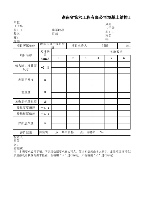 混泥土结构实测实量记录表模板