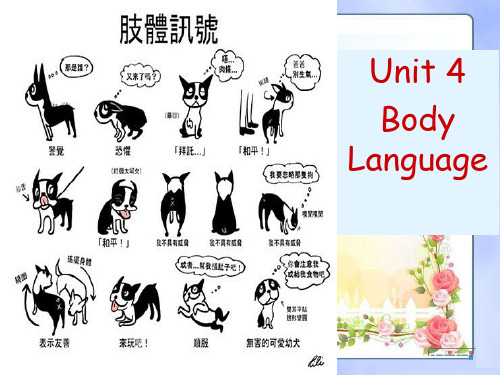 高一英语人教必修四 Unit4 Body Language(练习课件)