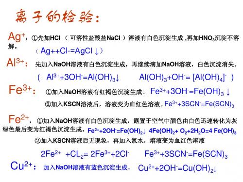 离子反应及离子鉴定