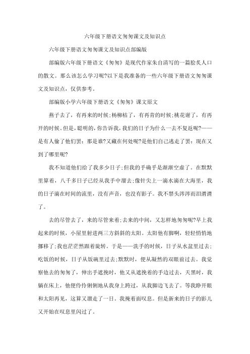 六年级下册语文匆匆课文及知识点