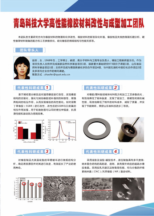 青岛科技大学高性能橡胶材料改性与成型加工团队