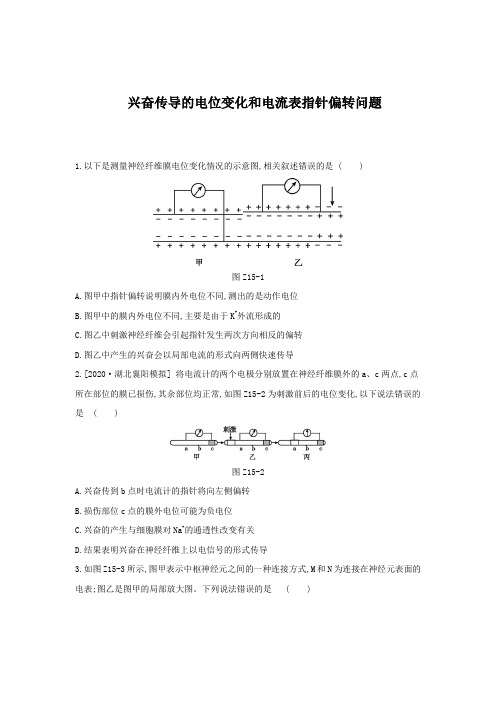 2022届 新高考 一轮复习  人教版 兴奋传导的电位变化和电流表指针偏转问题 作业