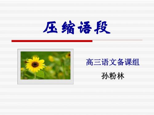 高考复习压缩语段PPT121 (共19张PPT)