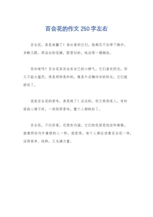 百合花的作文250字左右