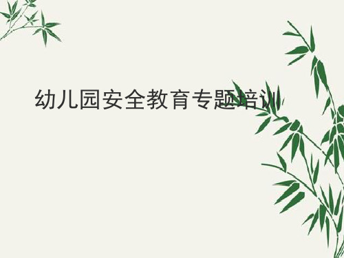 安全教育专题培训国民幼儿园PPT课件