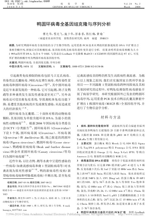 鸭圆环病毒全基因组克隆与序列分析_傅光华 (1)