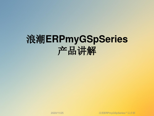 浪潮ERPmyGSpSeries产品讲解