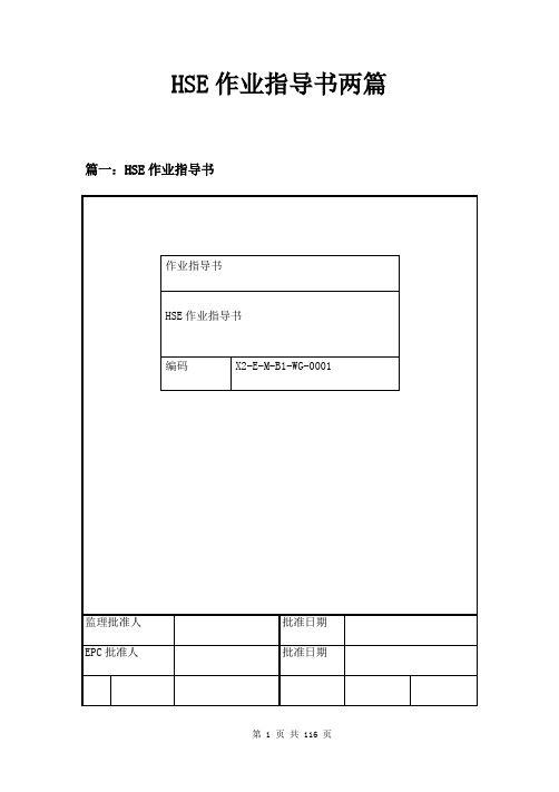 HSE作业指导书两篇