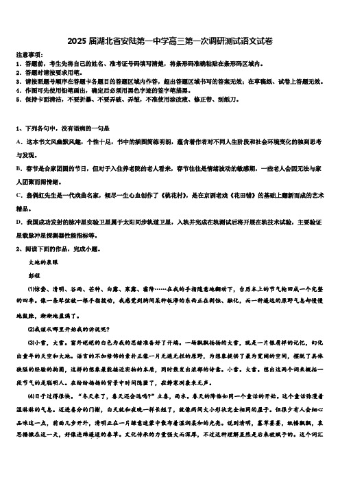 2025届湖北省安陆第一中学高三第一次调研测试语文试卷含解析