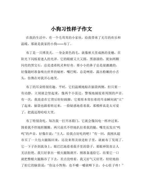 小狗习性样子作文