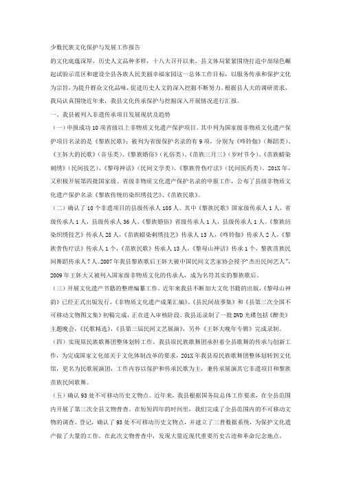 少数民族文化保护与发展工作报告.docx