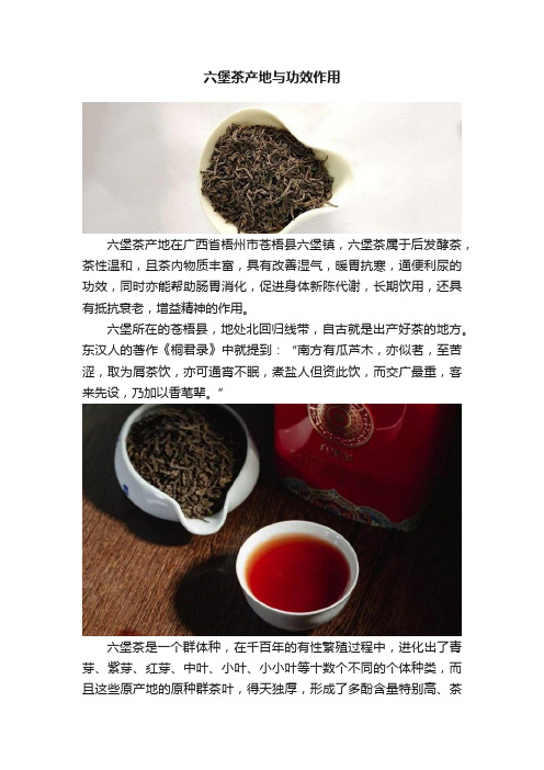 六堡茶产地与功效作用