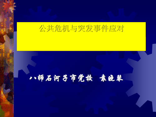 公共危机与突发事件应对培训教材(共 47张PPT)