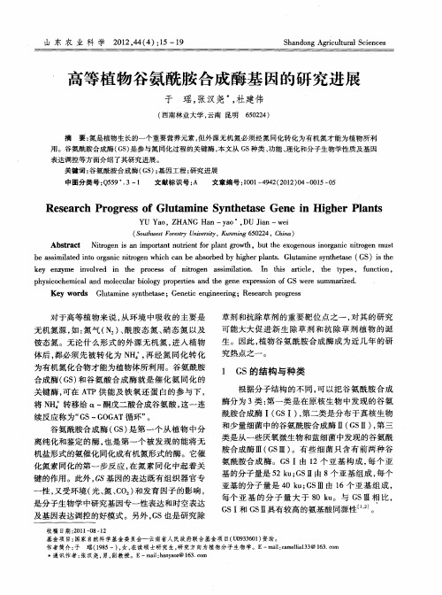高等植物谷氨酰胺合成酶基因的研究进展
