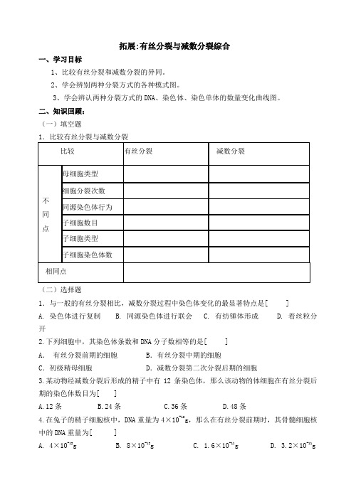 高三一轮复习有丝分裂和减数分裂学案(含答案)