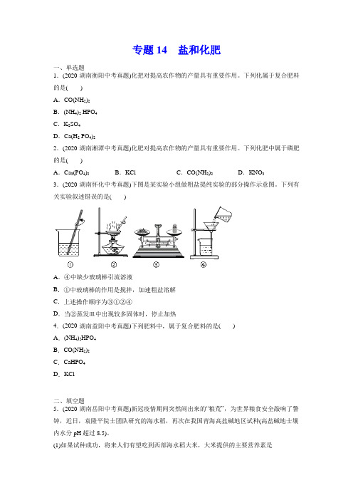 专题14 盐和化肥-2020年中考化学真题分专题训练(湖南专版)(学生版)