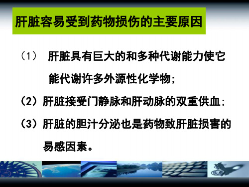 最新药物对肝脏的毒性用课件-PPT文档