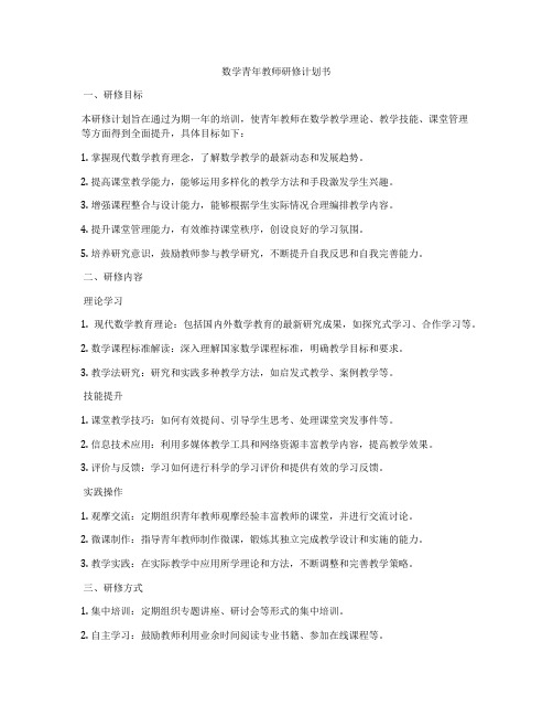 数学青年教师研修计划书