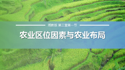 湘教版高中地理必修二第三章第一节农业区位因素与农业布局