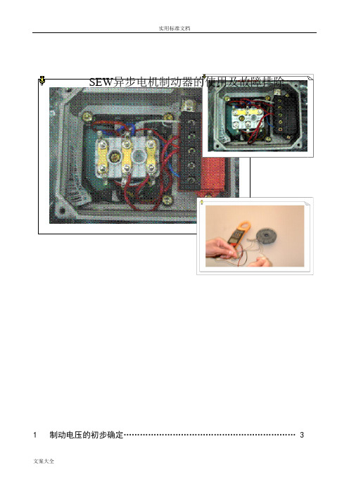 SEW电机制动器使用说明书