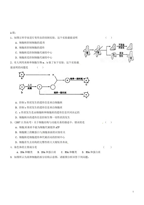 海南省海口市第十四中学高中生物 第三章 第3节 细胞核课后作业 新人教版必修1