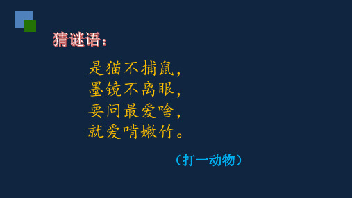 习作七国宝大熊猫ppt部编语文三年级下册课件