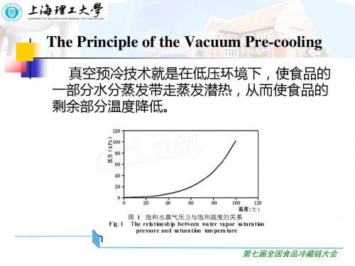 真空预冷中叶菜类蔬菜冻伤研究宋晓燕