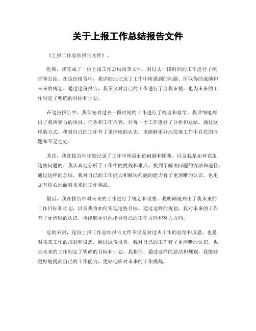 关于上报工作总结报告文件