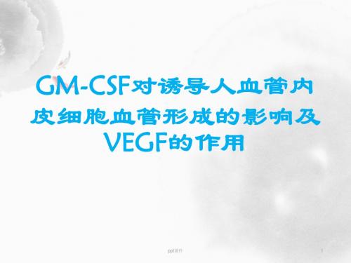 GM-CSF对诱导人血管内皮细胞血管形成的影响及VEGF的作用  ppt课件