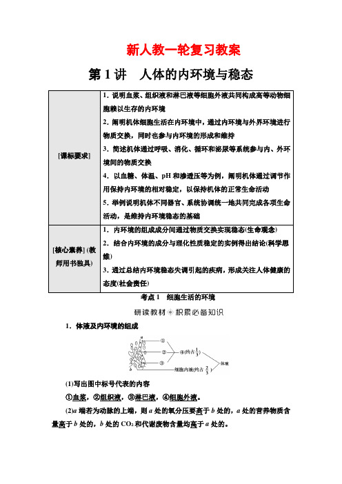 新人教一轮复习教案：选择性必修1 第8单元 第1讲 人体的内环境与稳态