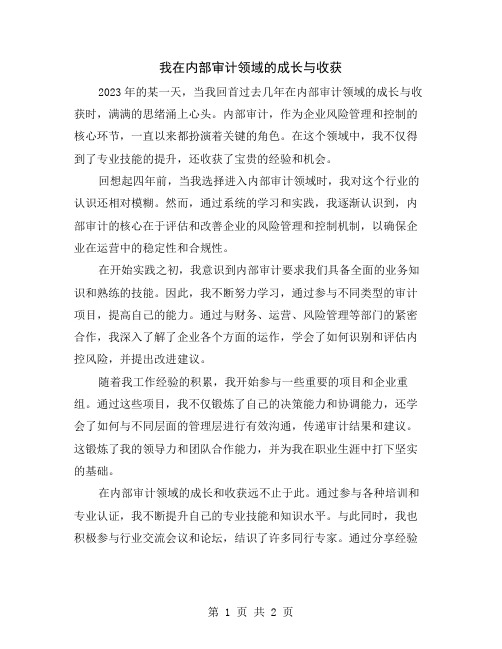 我在内部审计领域的成长与收获