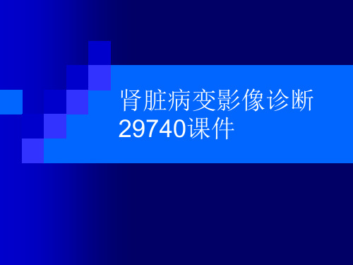 肾脏病变影像诊断29740课件