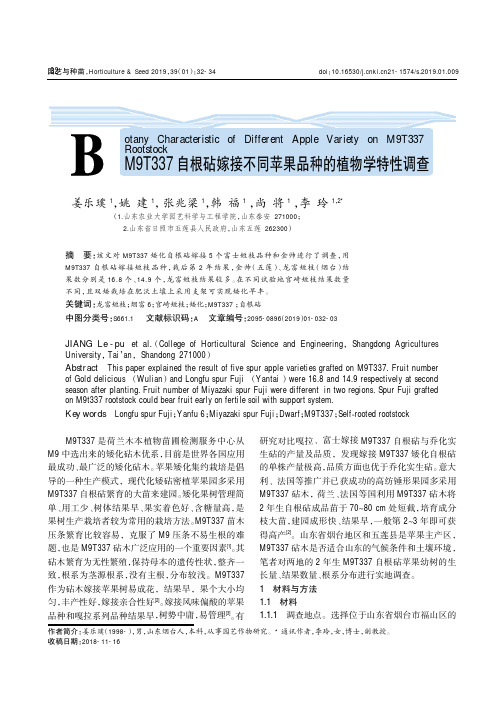 M9T337自根砧嫁接不同苹果品种的植物学特性调查