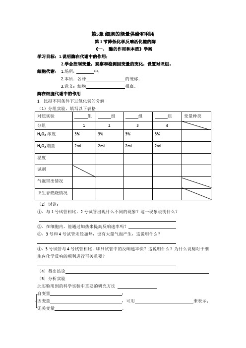 高中生物酶在细胞代谢中的作用学案1